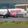 SpiceJet The Delhi-bound SpiceJet airplane following its emergency landing after it caught fire mid-air, at Jai Prakash Narayan Airport, in Patna (Photo: PTI)