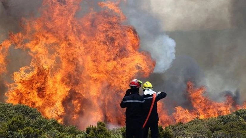 Climate change, Biodiversity loss Climate change, Biodiversity loss