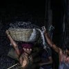 Coal