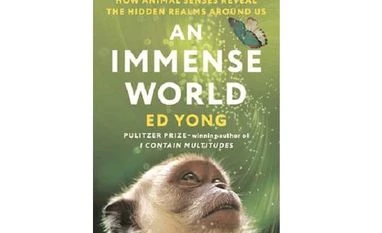 A tour of non-human reality book cover