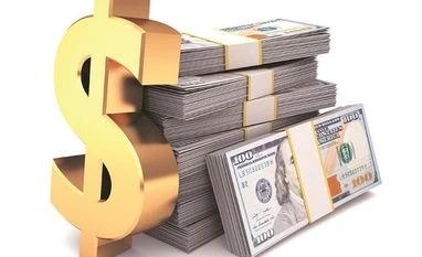 Drop in India's forex reserves worrisome as inflows slow down: Economists foreign inflows