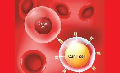 Easily spread virus exploits genomic weaknesses, causes cancer: Study cancer