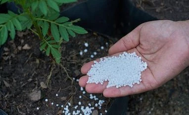 Procedures fully followed for nano urea fertiliser approval: Govt Urea