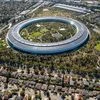 Microsoft, Google among tech giants to pause hiring amid fear of recession
