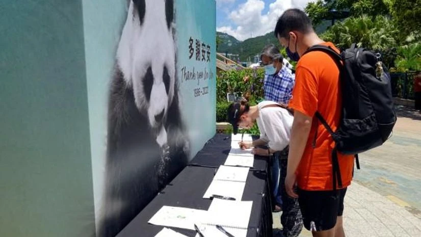 A visitor writes a condolence message for male giant panda An An, which was euthanised at age 35, at the Ocean Park in Hong Kong (Photo: Reuters) A visitor writes a condolence message for male giant panda An An, which was euthanised at age 35, at the Ocean Park in Hong Kong (Photo: Reuters)