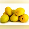 Kesar mango, Mango Kesar mango, Mango