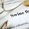 Swine Flu