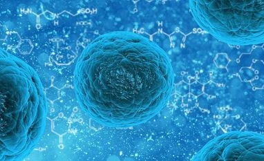 Boosting anti-viral immune response could slow down aging, says study Source :Pixabay