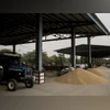 wheat stock Piles of wheat grains at a wholesale market in the Narela district of New Delhi, India. (Photo: Bloomberg)