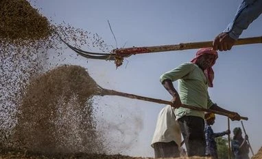 Wheat output may set new record of over 11.2 mn tonnes in 2022-23: Govt