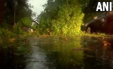 Lutyens' lost over 350 trees due to rain, storm in three years: NDMC data rain, fallen trees