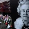 A child leaves a bouquet of flowers for Britain's Queen Elizabeth, following her death, on the Shankill Road in Belfast, Northern Ireland (Photo: Reuters)