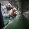 India eyes $550 million incentives to woo companies like Apple, Dell