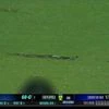 Snake interrupts play during second IND-SA T20I