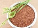 Ragi Ragi