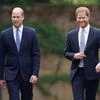 Prince Harry, Prince William