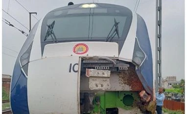 Cattle on tracks: 200 trains affected till Oct 9; 4,000 faced delay in 2022 Vande Bharat train