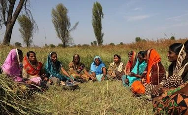 Govt eyes doubling cash handout for women farmers ahead of Lok Sabha polls Women Farmers, (Photo: unsplash)