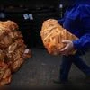 Firewood (Photo: Bloomberg)