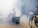 Dengue, Dengue management, UP Dengue, Dengue management, UP