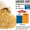 Wheat price rise normal; have enough stocks to meet demand: Govt