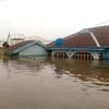 Nigeria floods