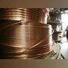 Chhattisgarh govt starts biggest copper concentrate export to China