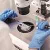 fertility clinics