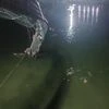 Sneak peak into major bridge collapse incidents in India in recent past