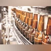 United Spirits share price in focus