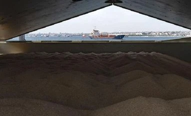 Russia-Ukraine grain deal extended by four months in win for food prices Foodgrain, grains, crops