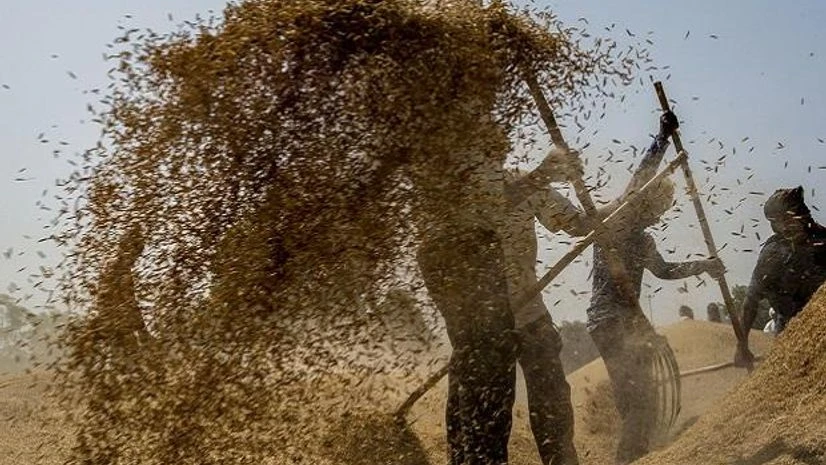 workers, farmers workers, farmers