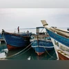10 Indian fishermen arrested, 1 Sri Lankan sailor killed in ops: Navy Sri Lanka, Adani, fishermen
