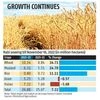 Wheat acreage till Nov 18 up 15% YoY, record open market prices spur sowing