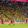 Brazil misses out on Fifa world cup betting. What's India's wager?