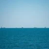 Oil barrels, Turkish coast