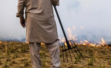 NHRC raises concern over 'tardy progress' towards zero stubble-burning aim stubble burning