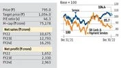 Play safe, but play to win: From ITC to L&T, best blue-chips for 2023