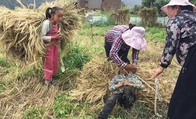 KFL posts Rs 621 cr sales turnover, passes Rs 42 cr as subsidy to farmers women, farmers, china