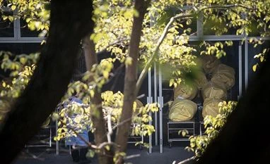 China's Covid deaths expected to hit 36,000 a day during holiday China, Covid deaths, China Covid deaths