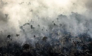 Global emissions not in line to achieve Paris Agreement goals: UN report Amazon rainforest, Amazon burning, forest fire, climate change