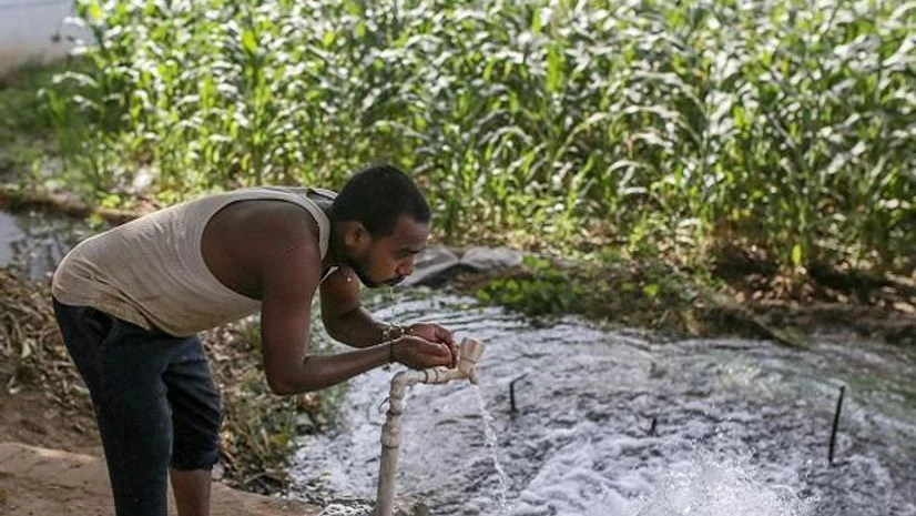 Summer, Early summer Summer, Early summer