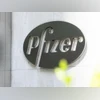 Pfizer Q2 results: Net profit declines 52% at Rs 149 cr, revenue slips 9.8% Pfizer