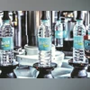 Bisleri FY24 profit rises 82.8% to Rs 317 crore, revenue at Rs 2,689.69 cr Bisleri