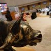 market, stock market, bullish market, bull
