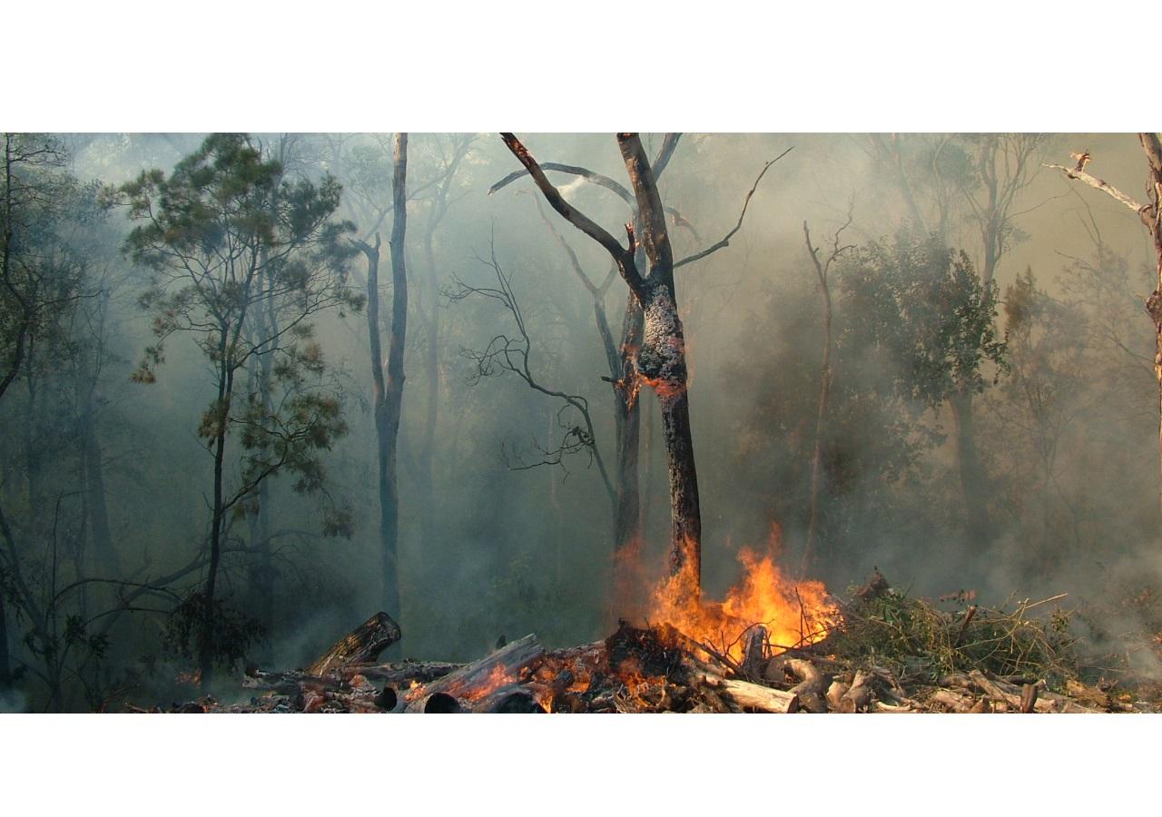 UN member states meet to plan how to tackle world's environmental ...