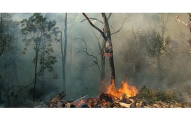 UN member states meet to plan how to tackle world's environmental crises Climate Change