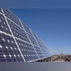 JSW Neo Energy bags 200 MW wind-solar hybrid project from from MSEDCL solar projects