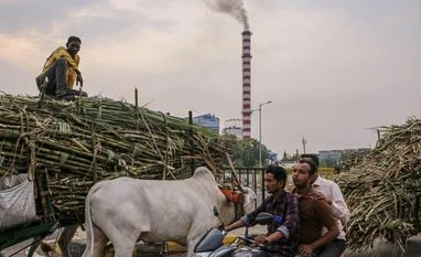 Sugar output falls 3% to 29.96 mn tonnes in Oct-Mar of 2022-23: Isma Farmers transport sugarcane to a sugar factory in Maharashtra.