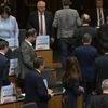 Far-right Austrian MPs walk out of Parliament